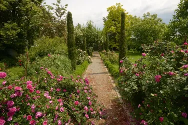 Rosen-Lavendelgarten_klein-_Kopie (© Ferienwohnungen Schlossmühle, Familie Heumülle)