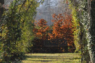 Sitzlaube_im_Herbst (© Ferienwohnungen Schlossmühle, Familie Heumülle)