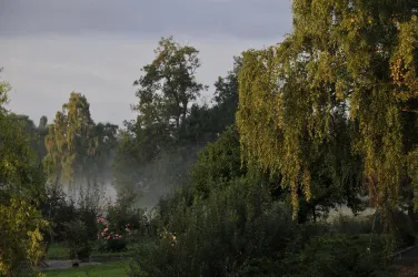 Nebel_im_Wasserschutzgebiet (© Ferienwohnungen Schlossmühle, Familie Heumülle)