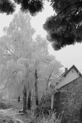 Am_Kaiserbach_im_Winter (© Ferienwohnungen Schlossmühle, Familie Heumülle)