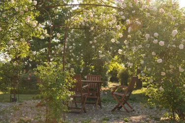Rosenpavillon (© Ferienwohnungen Schlossmühle, Familie Heumülle)