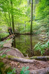 Hinterweidenthaler Teufelstisch-Tour2