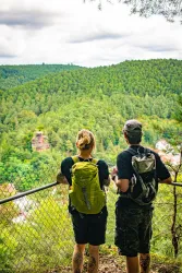 Schöne Aussicht Hinterweidenthaler Teufelstisch-To