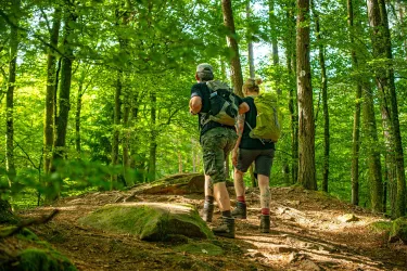 Hinterweidenthaler Teufelstisch-Tour1