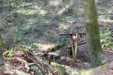 Schwambornquelle Hinterweidenthaler Teufelstisch-T