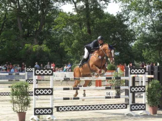 Springreiter (© Reit- und Springverein Zeiskam e.V.)