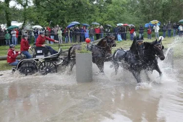 Vierspänner (© Brauchle)