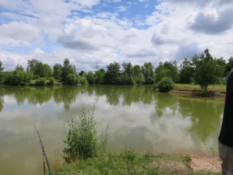 Der Bürgersee ist der Angelweiher in Zeiskam