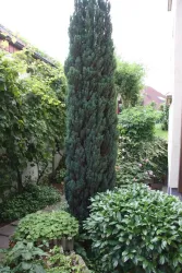 Gartenbereich (© Tobias Humbert)