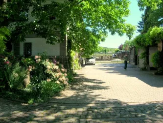 Hof mit Carport neu