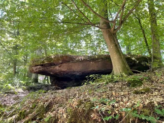 Münchhofer Fels_02