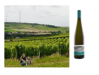 2 (© Weingut Rebenhof)