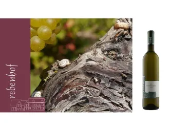 1 (© Weingut Rebenhof)