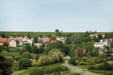 Blick auf Mölsheim (© VG Monsheim, Fotograf Carsten Costard)