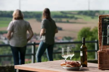 Weinrast mit Weitblick - Aussicht (© VG Monsheim, Fotograf Carsten Costard)