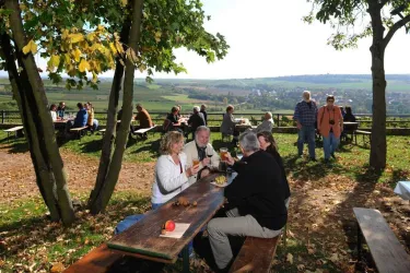 Weinrast mit Weitblick (© VG Monsheim / C. Costard)