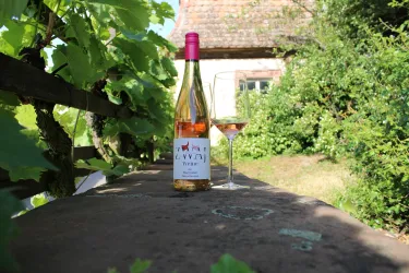 ZWAJ Weine Mölsheim Produkt (© ZWAJ Weine)