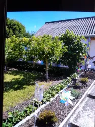 Garten (© Ferienwohnung  Galina)