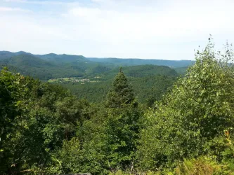 Blick vom Hirzeckgipfel (© Bettina Schneider)