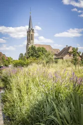 Kirche Großfischlingen (© Verein SÜW Edenkoben, T.Kujat)