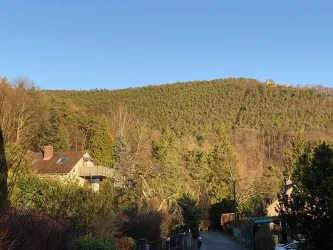 Ruhige Straße am Waldrand mit Rietburgblick