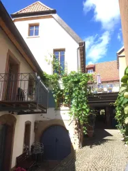 Hof Ferienhaus "An der Dorflinde" (© Herr Möwes)