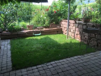 Schaukel in Garten