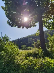 Waldbaden