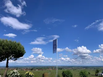 Aussicht (© Weingut Möwes)