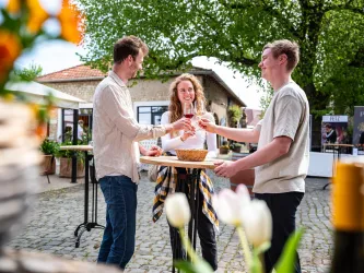 Anstoßen auf dem Donnersberger Weinforum (© Donnersberg-Touristik-Verband e.V., Medienagentur Fachenbach)