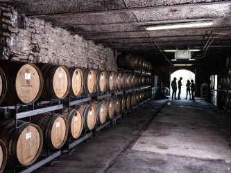 Weinkeller (© Donnersberg-Touristik-Verband e.V., Fachenbach Medienagentur)