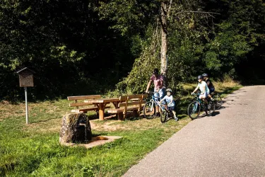 Sitzgruppe Radweg Völkersweiler (© Verein SÜW Annweiler e.V.)