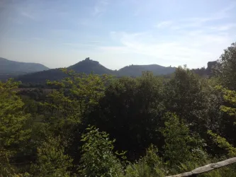 Ausblick auf Trifels