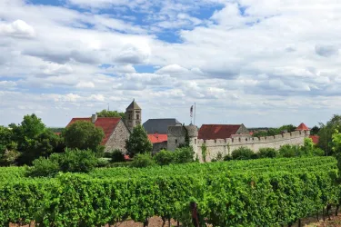Ortspanorama (© VG Monsheim - Fotograf Carsten Costard)