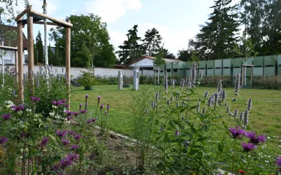 Wohnmobilstellplatz Weingut Schales (© Weingut Schales)