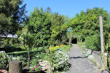 Garten (© Weingut Beyer-Bähr)