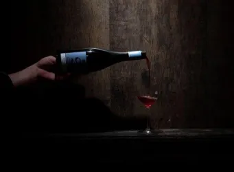 Rote Legenden - Weingut Schales (© Weingut Schales)