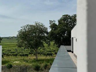 Foto  (11)