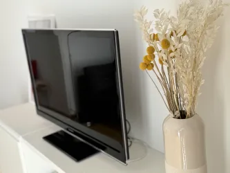 TV