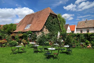 Augenwaide (© VG Monsheim, Fotograf Carsten Costard)