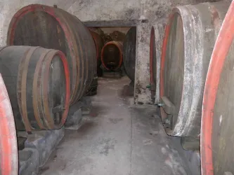 alter Weinkeller (© Gästezimmer Mittelgasse)
