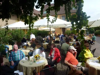 Offener Keller (© Weingut Schales)