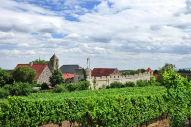 Fleckenmauer Ortspanorama (© VG Monsheim/Fotograf Carsten Costard)