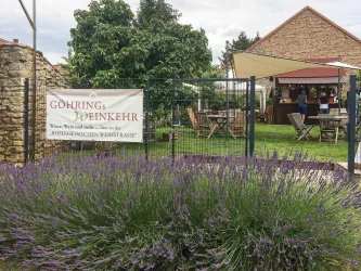 Weinkehr_6 (© Weingut Göhring)