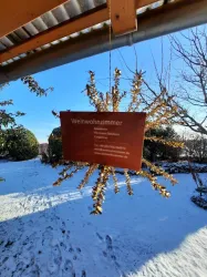 WeinWohnZimmer Winter (© Roland Isselhard)