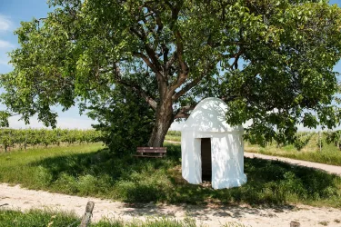 Trullo am Nußbaum (© VG Monsheim-Fotograf Carsten Costard)