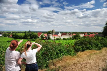 Blick auf den Ortsteil Dalsheim (© VG Monsheim Fotograf Carsten Costard)