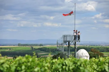 Aussichtturm Flörsheim-Dalsheim (© VG Monsheim Fotograf Carsten Costard)