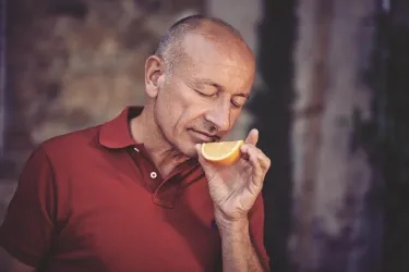 Wein & Secco Köth Aromenvielfalt (© Wein & Secco Köth)