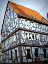 Hotel Blaues Haus, Ansicht 1